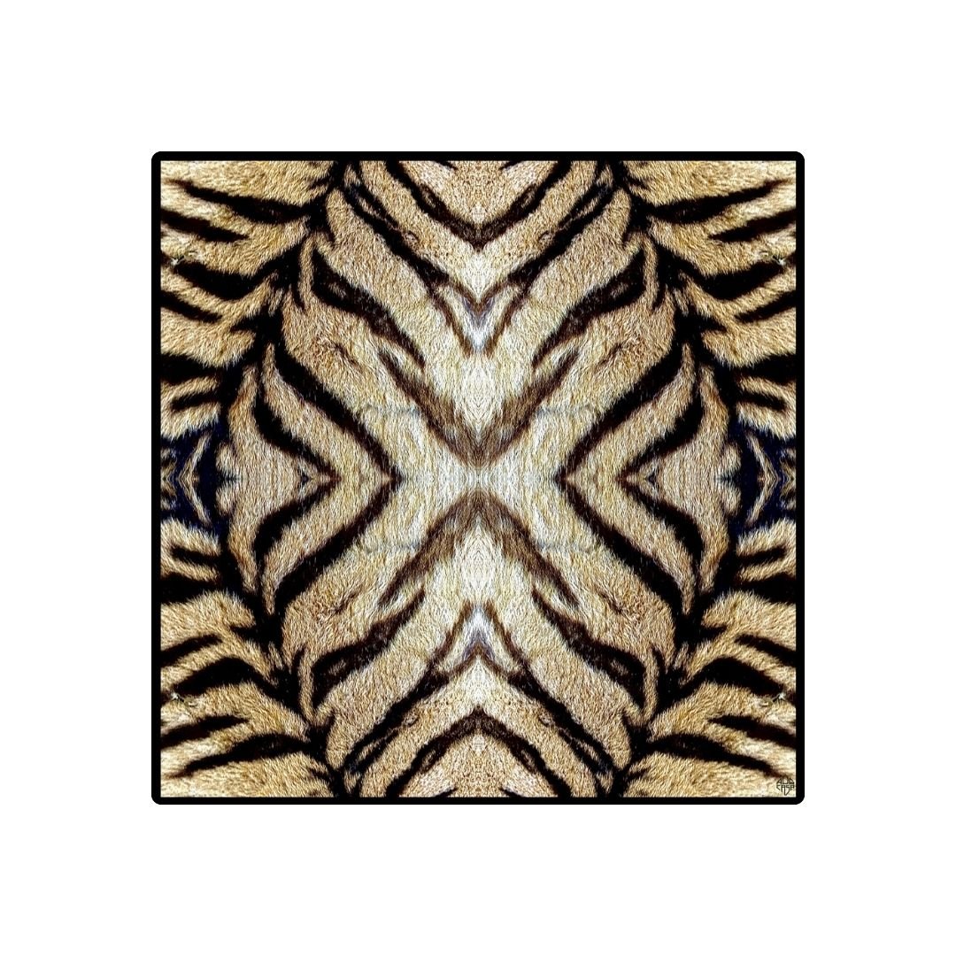 TIGER - MAXI CARRÉ / CARRÉ