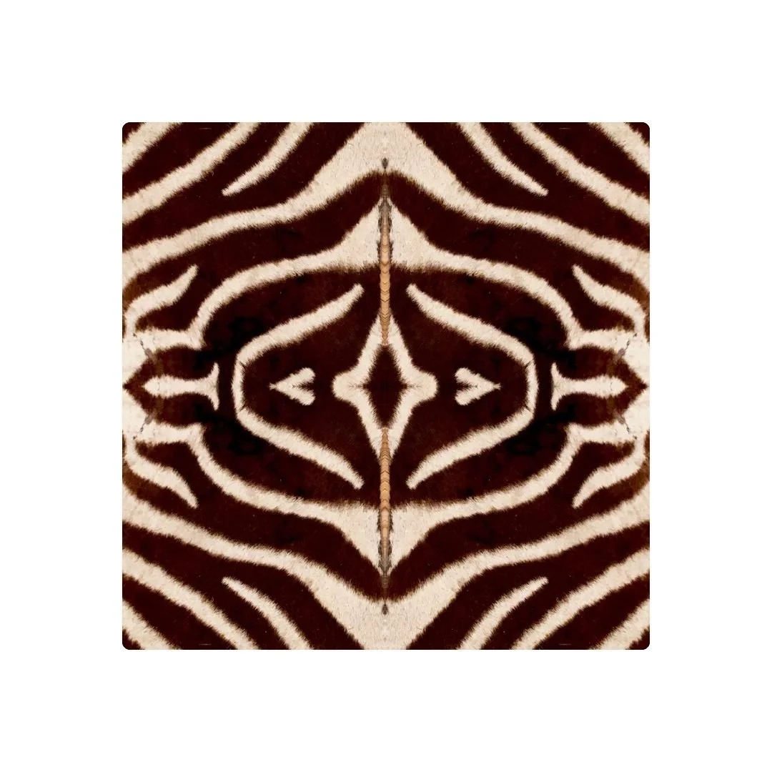 ZÈBRE - DESSOUS DE VERRE x6