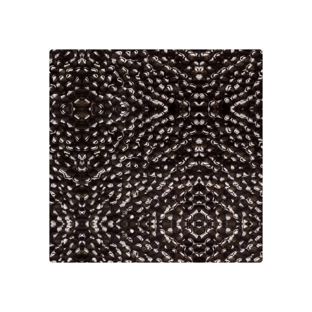 CAVIAR NATUREL - DESSOUS DE VERRE x6