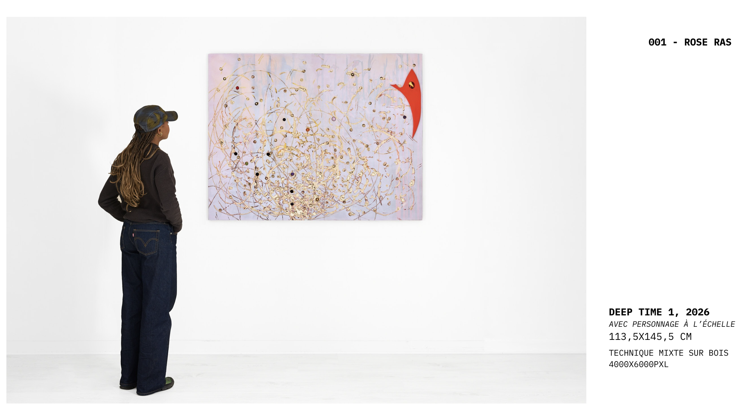 Alice Vernet photographe paris oeuvre artiste art galerie