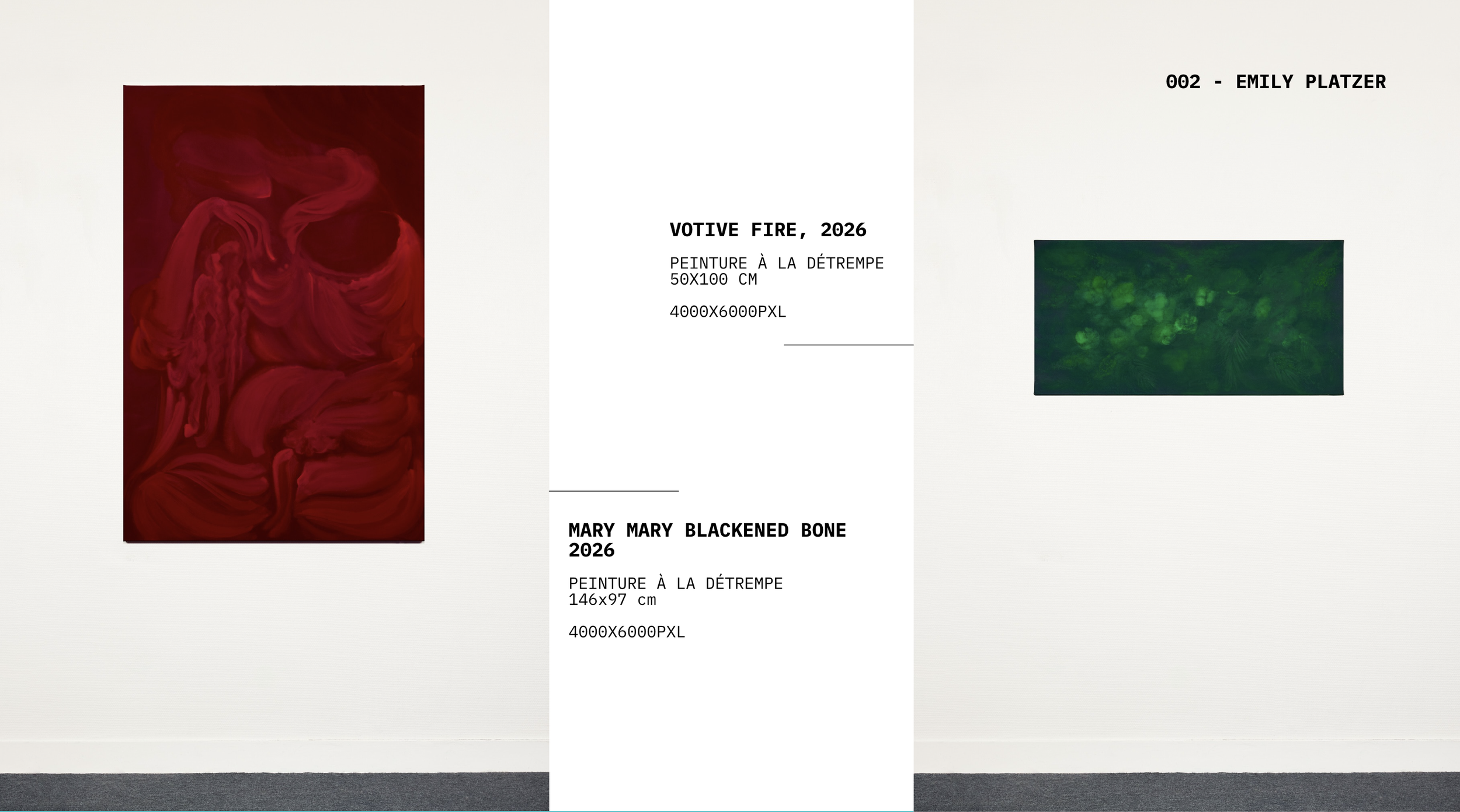 Alice Vernet photographe paris oeuvre artiste art galerie
