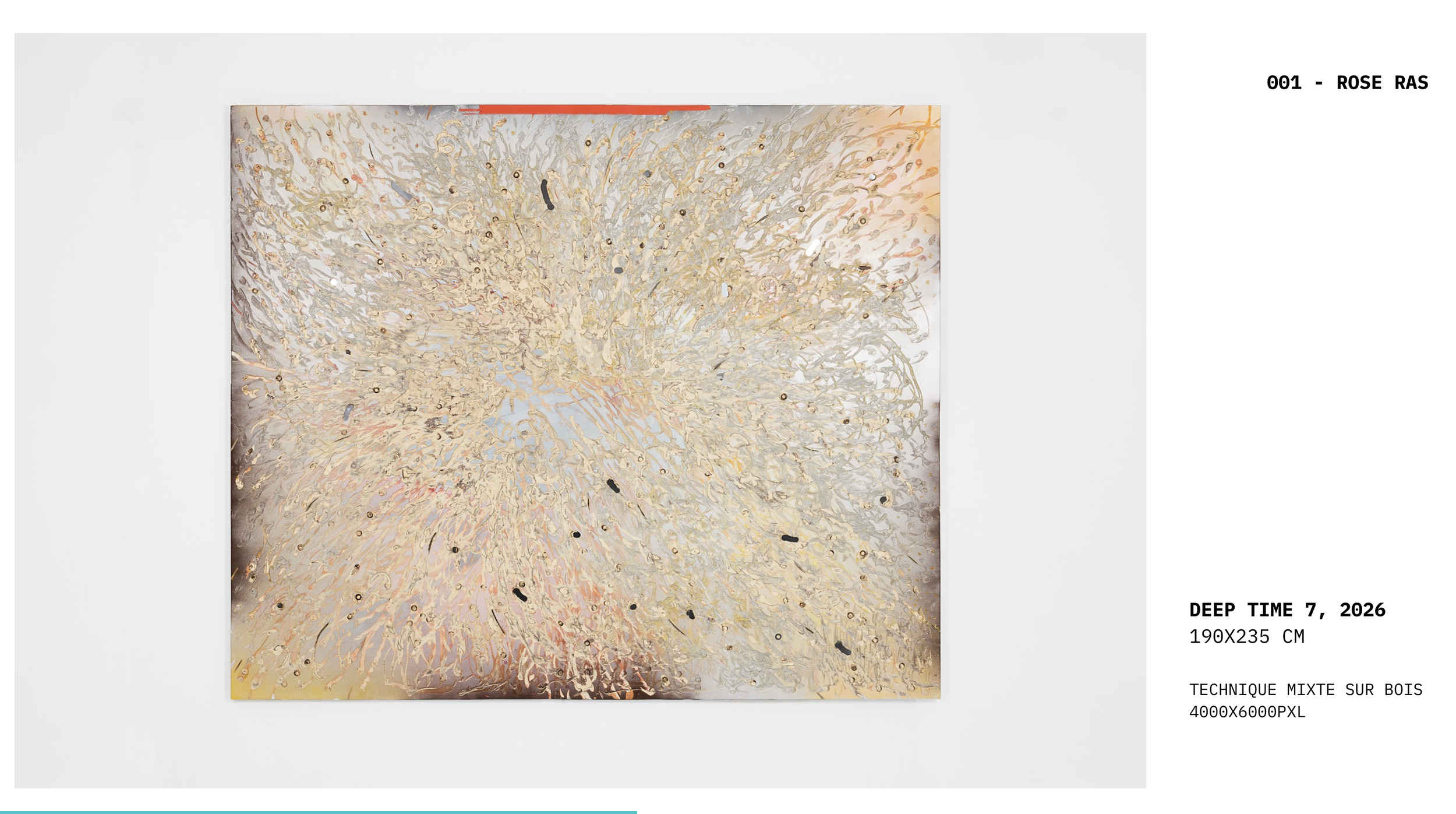 Alice Vernet photographe paris oeuvre artiste art galerie