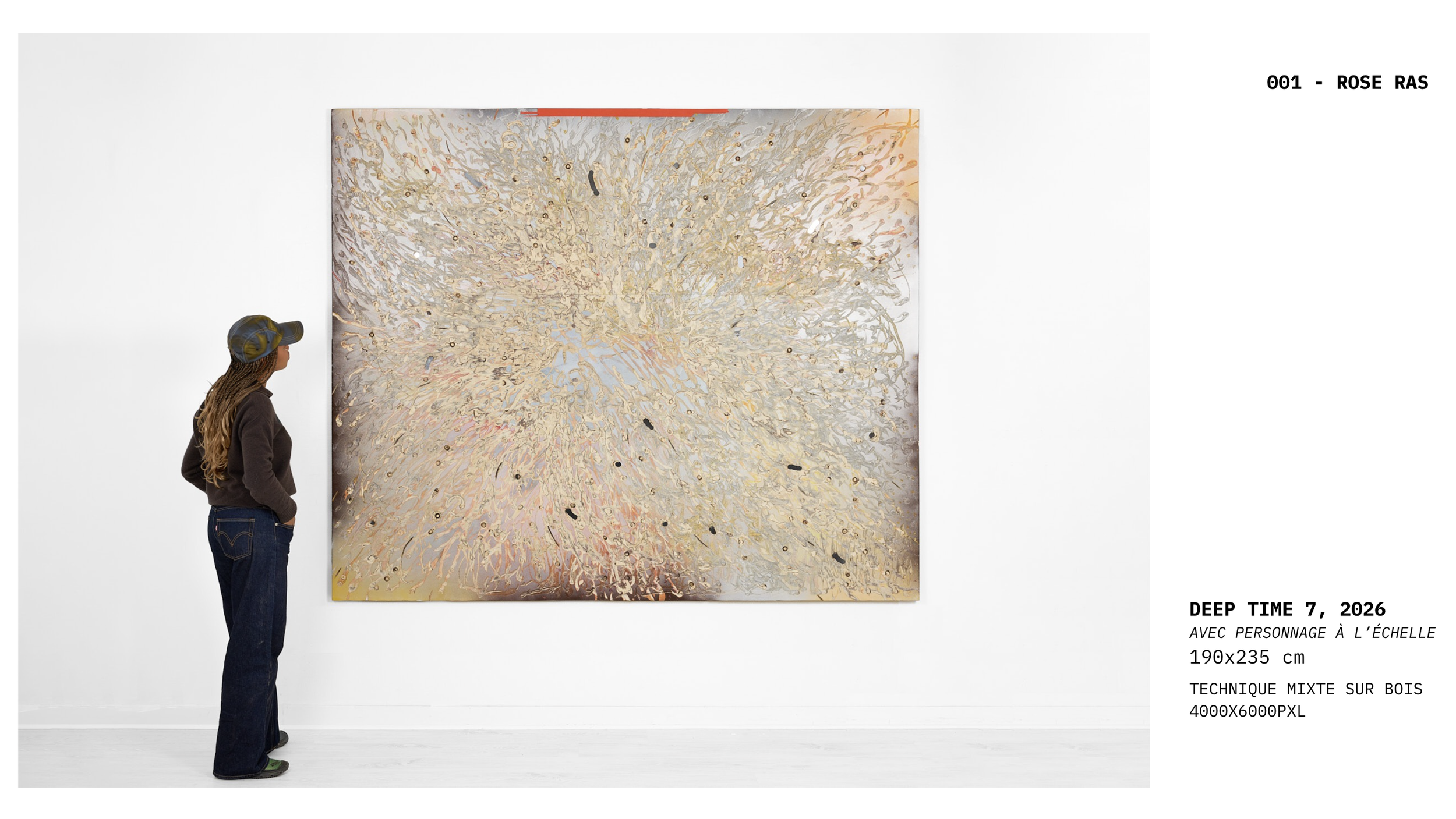 Alice Vernet photographe paris oeuvre artiste art galerie