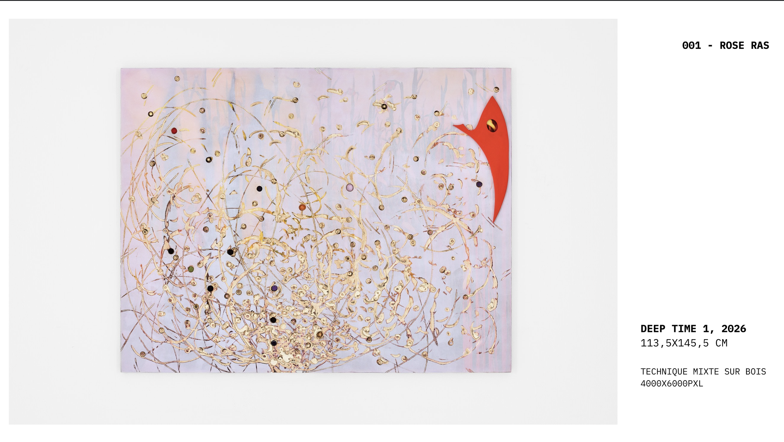 Alice Vernet photographe paris oeuvre artiste art galerie