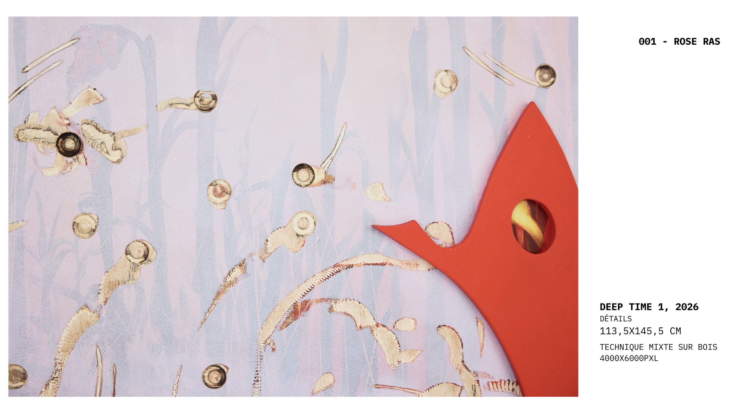 Alice Vernet photographe paris oeuvre artiste art galerie