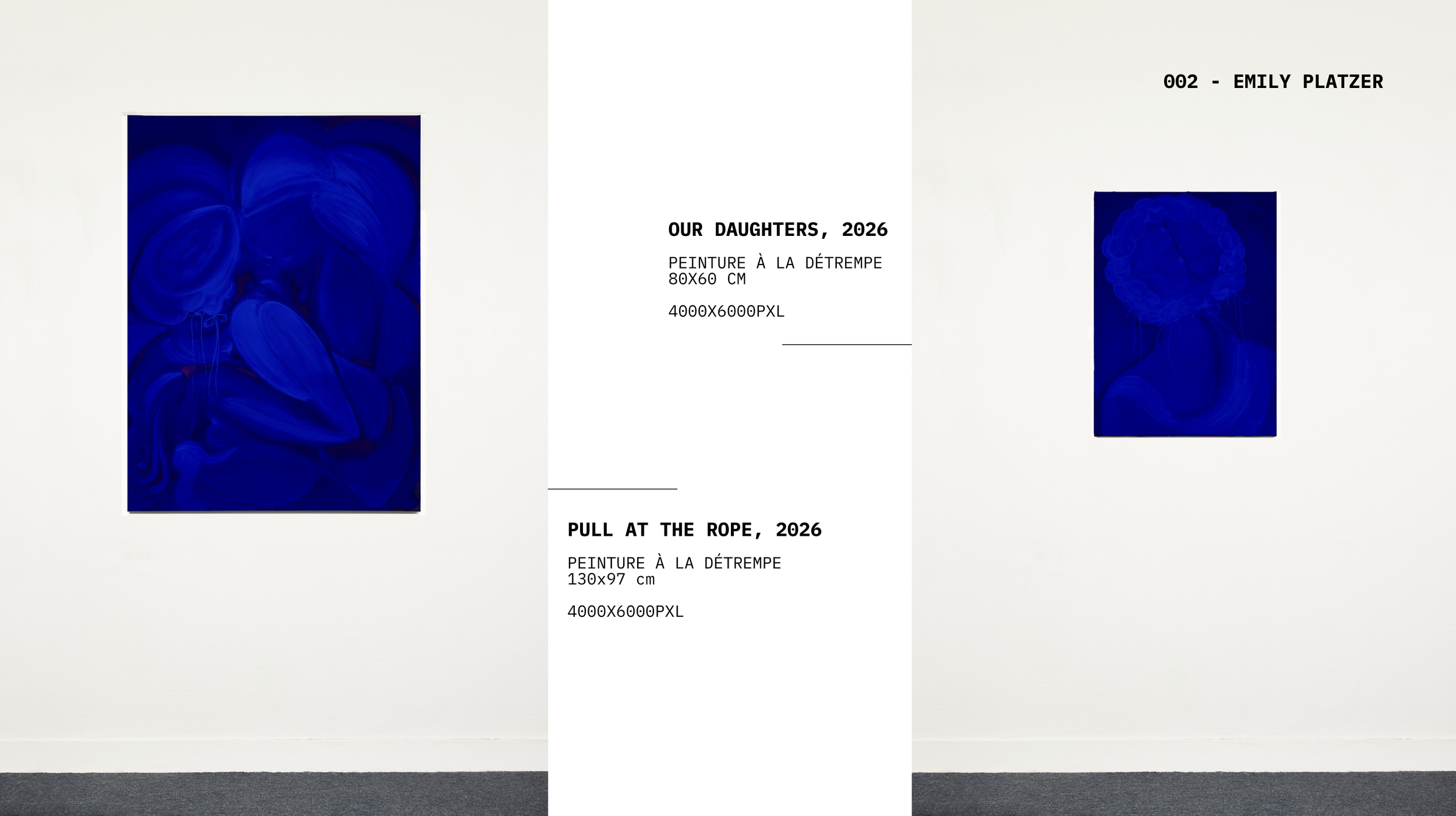 Alice Vernet photographe paris oeuvre artiste art galerie