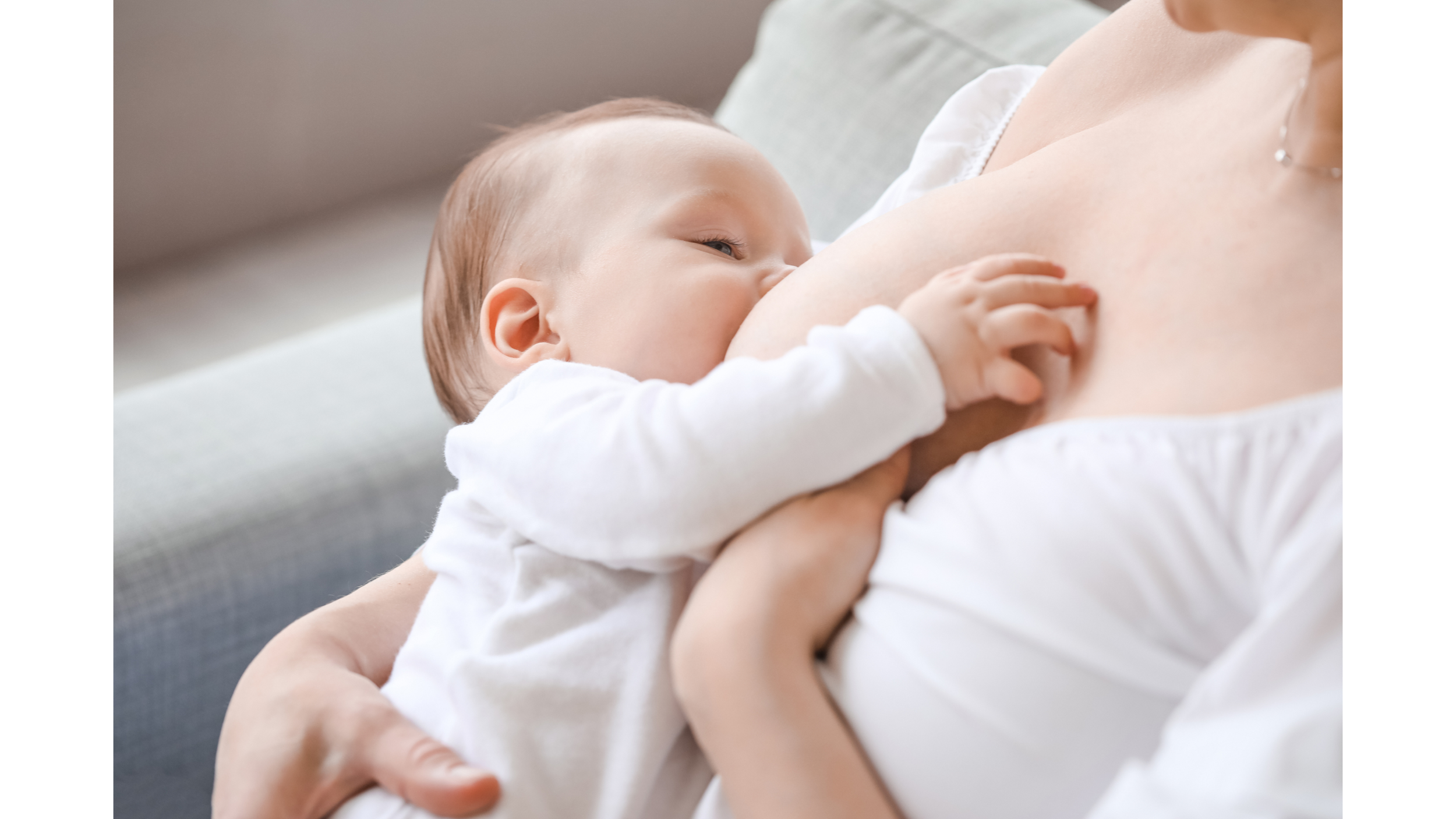 Pregnancy &amp; Baby 2026