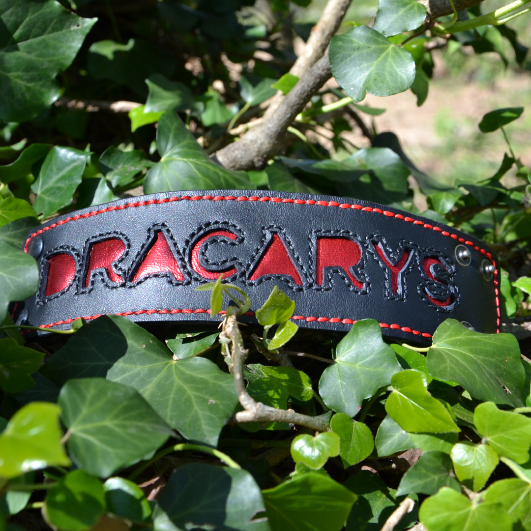Bracciale Dracarys 1.png
