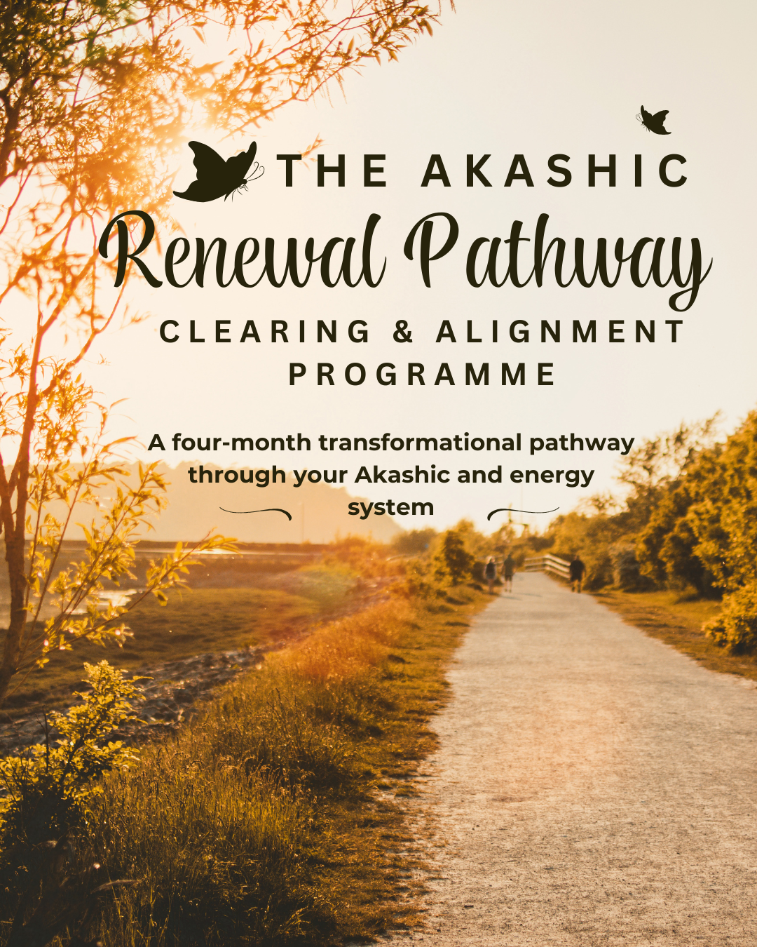 Renewal Pathway.png