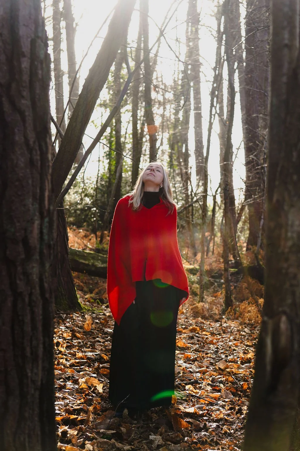 Reiki healing, spinal flow, access healing, access bars, distance healing.