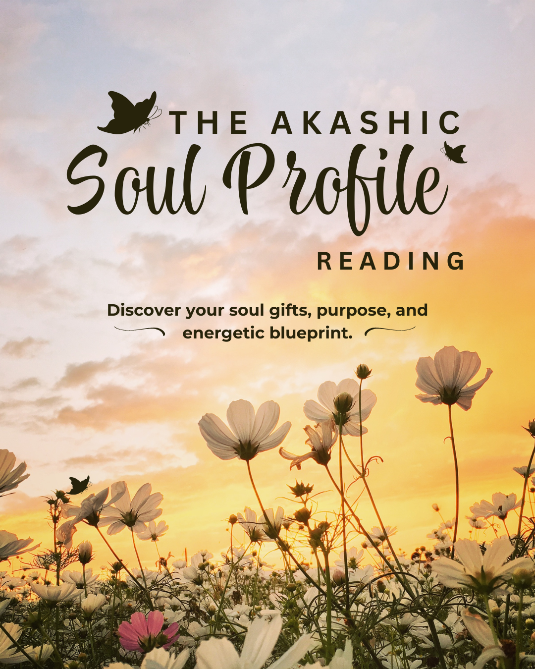 Soul Profile.png