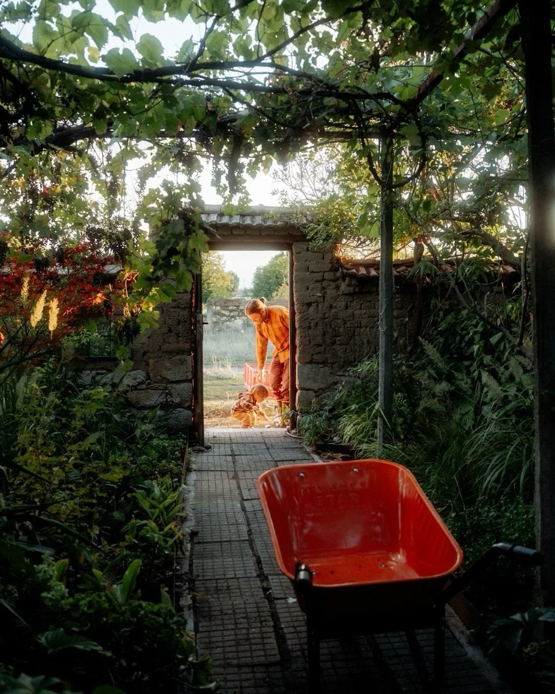 Fairy Tale Garden. @daliinaselo 

#sonycreator #фотосесия #семейнафотосесия #фотограф