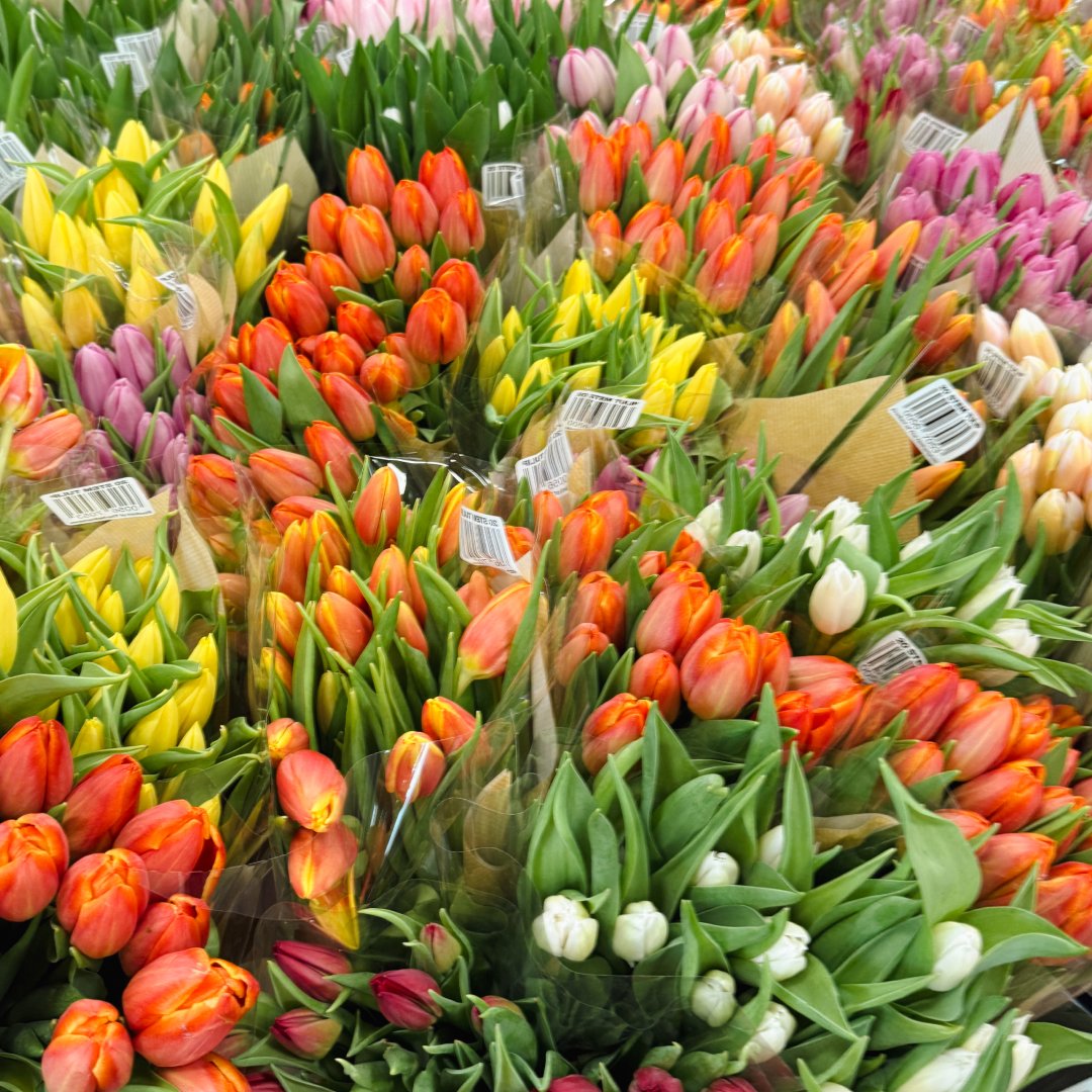 Spring Events Around Omaha