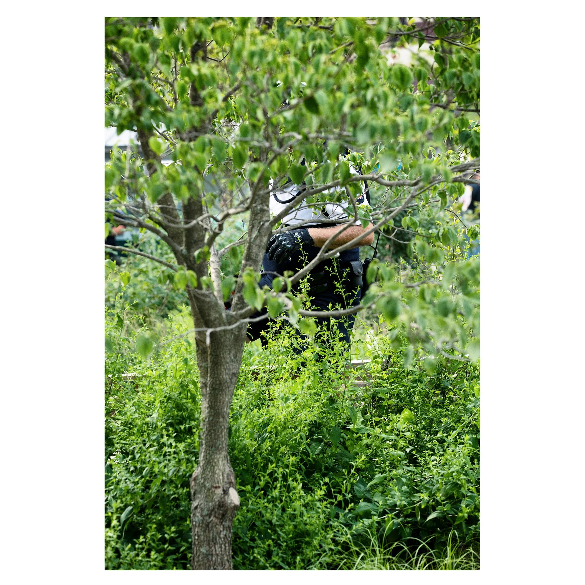 quantum uncertainty first edit images  Pagesv 5-6.jpg