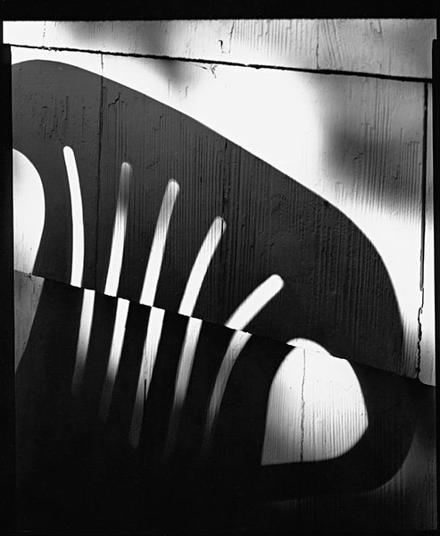 6. shadowchair8x10.jpg