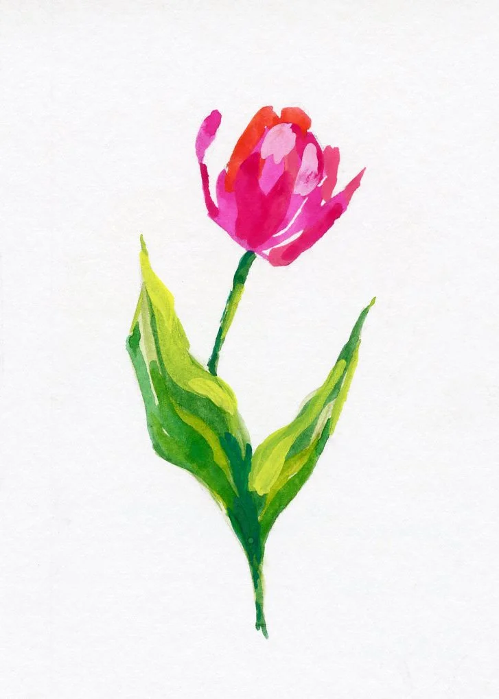 tulip-2.jpeg