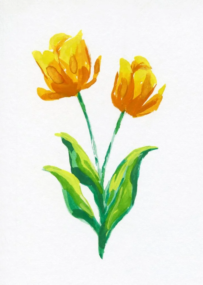 tulip-3.jpeg