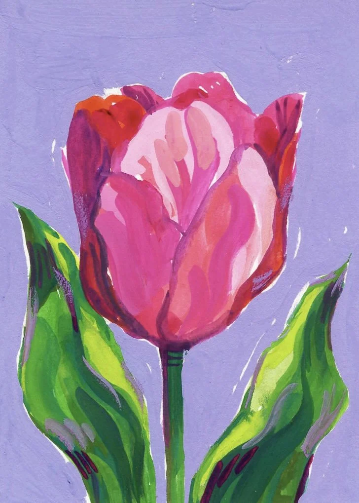 tulip-1.jpeg