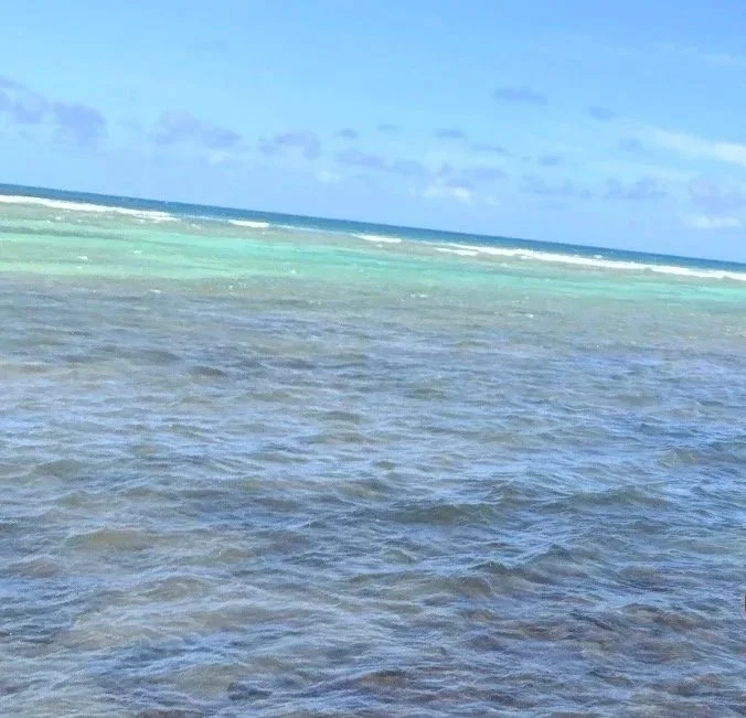 View of the ocean with blue sky, distant waves, and clear water in the foreground.