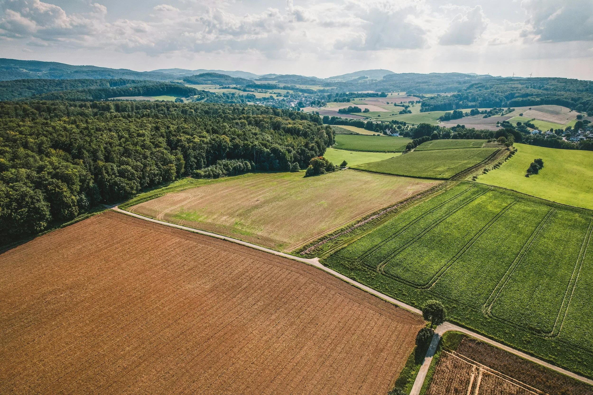 New on GFW Pro: GHG Land Use Change Emissions Analysis