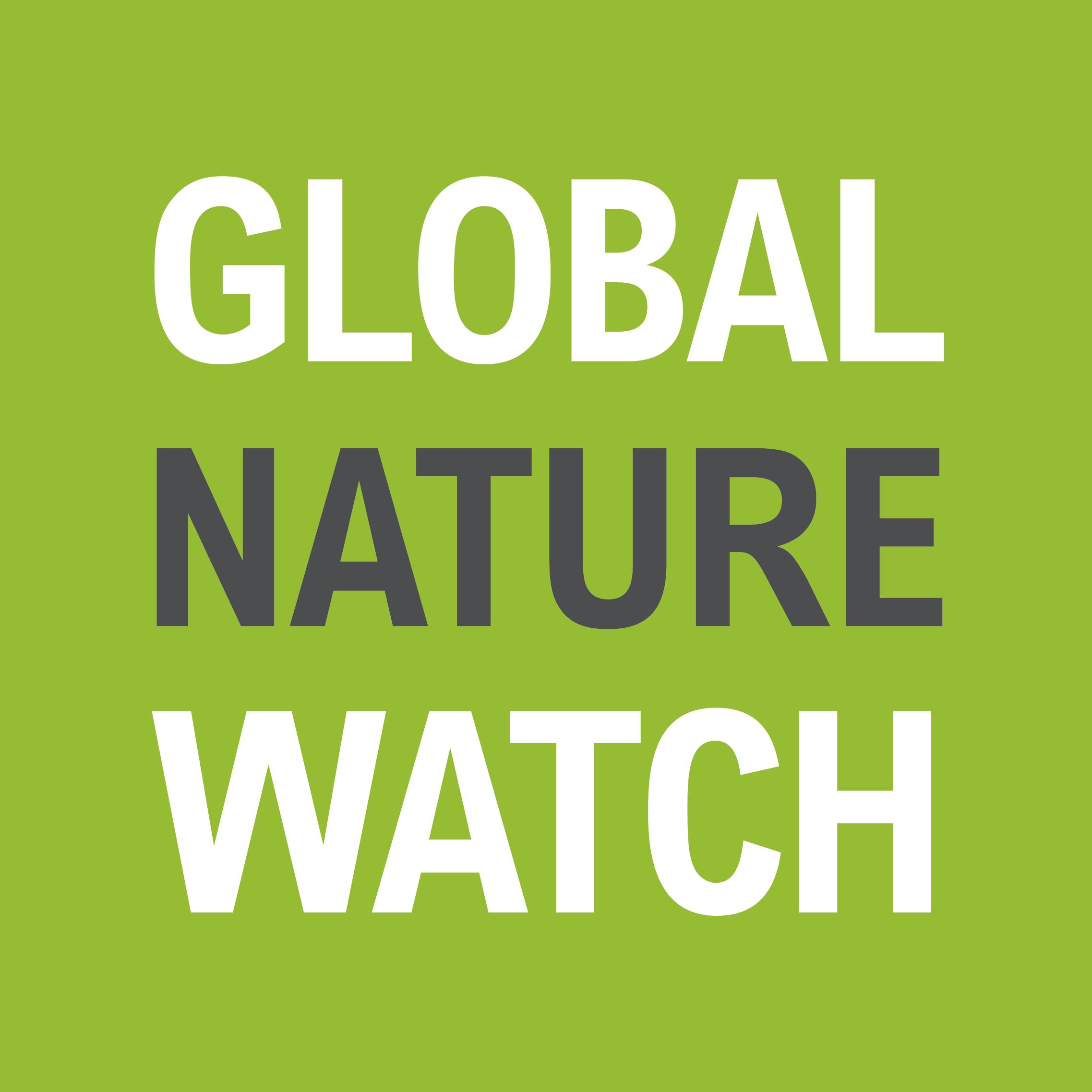 GFW Pro is Consolidating into Global Nature Watch