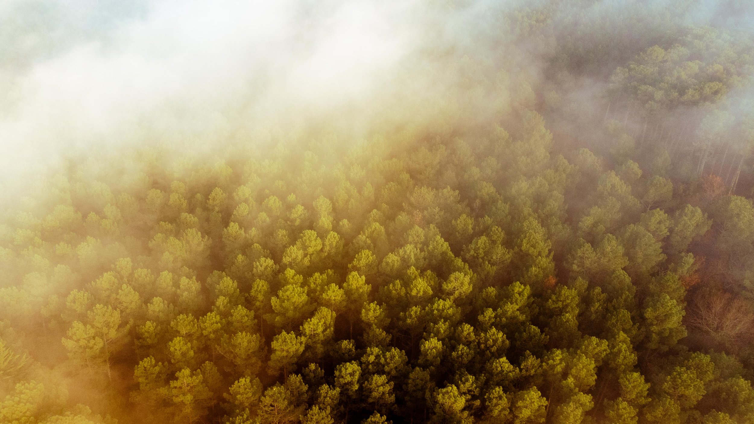 RESMAX-DJI_0609.jpg