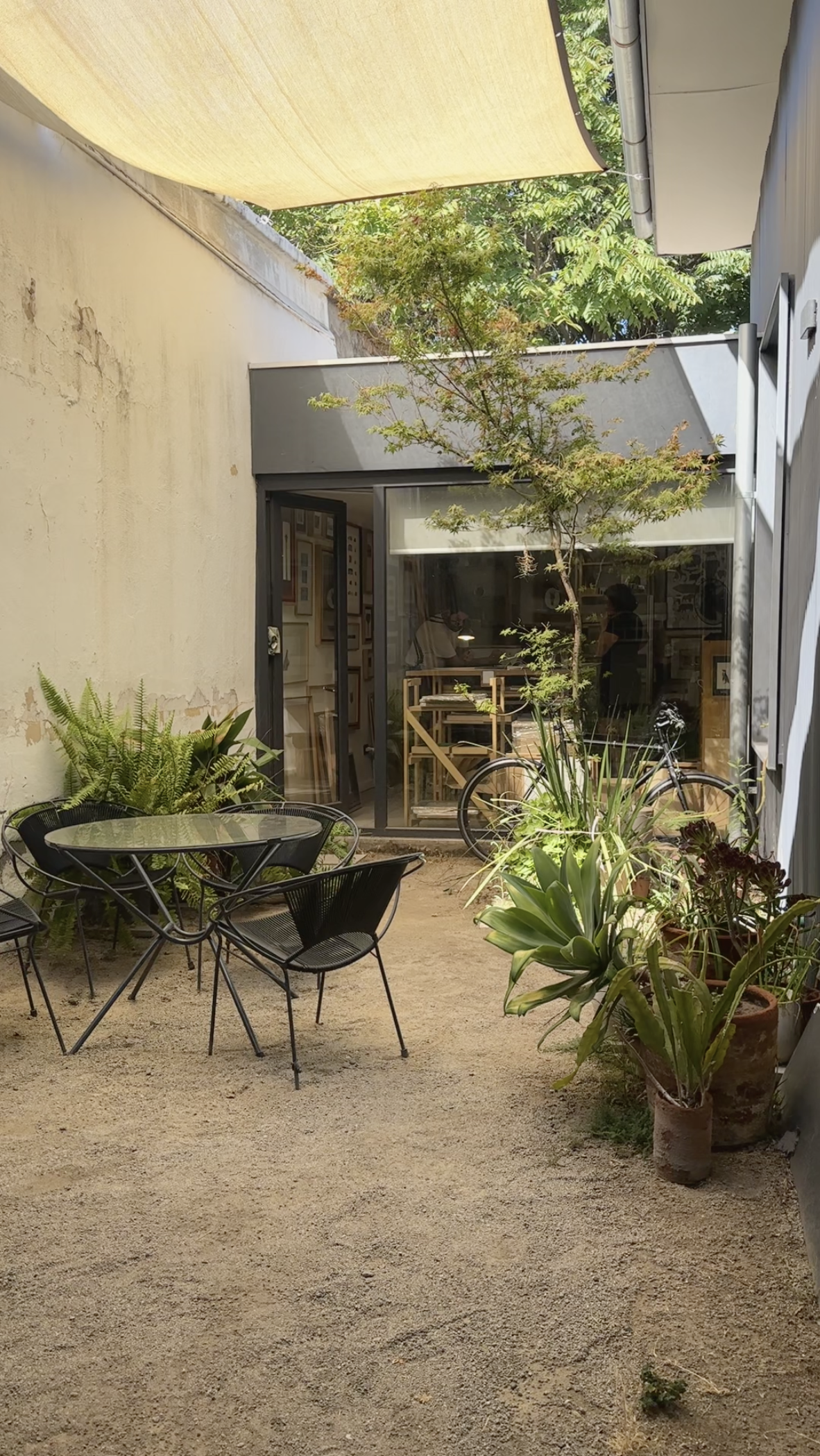 Captura de pantalla 2025-02-18 a la(s) 11.37.49 p.m..png