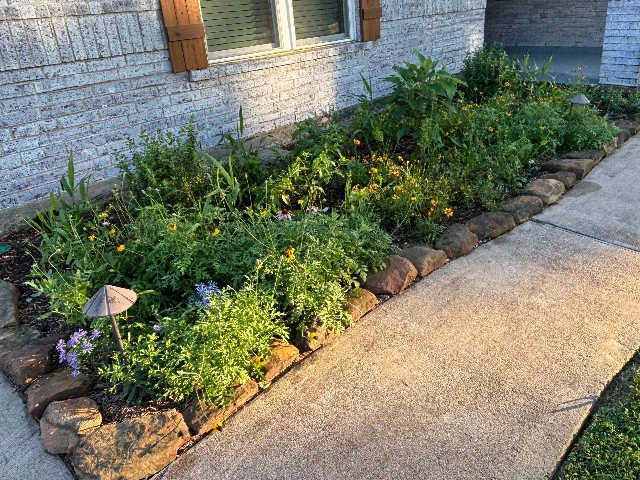 Front Garden Bed Update