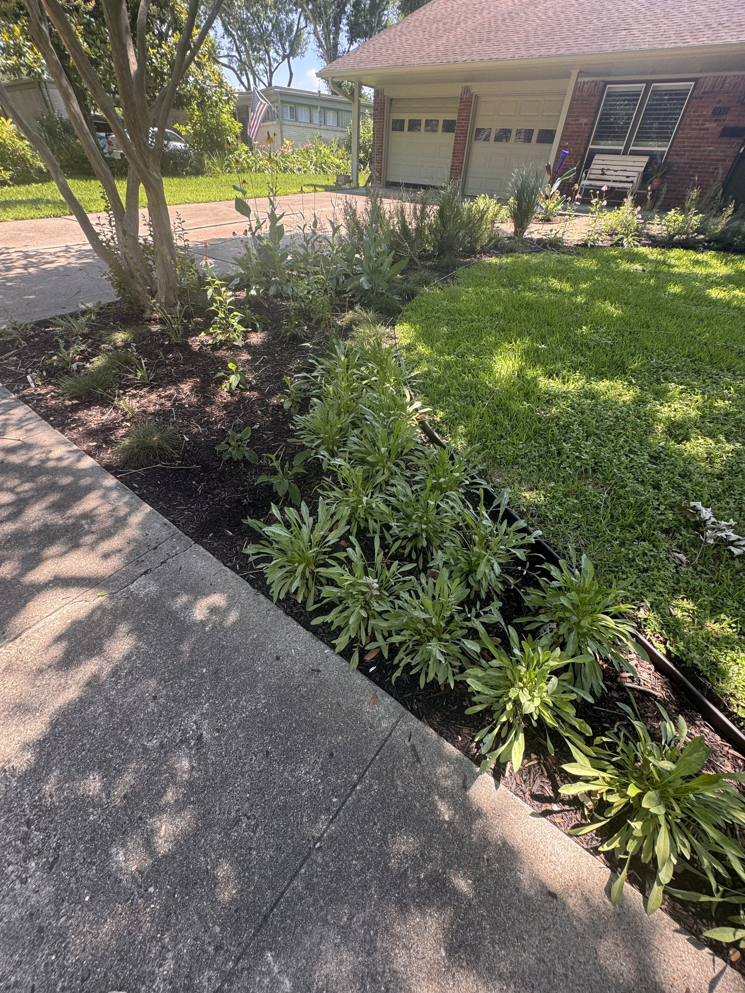 8 Weeks in the Ground