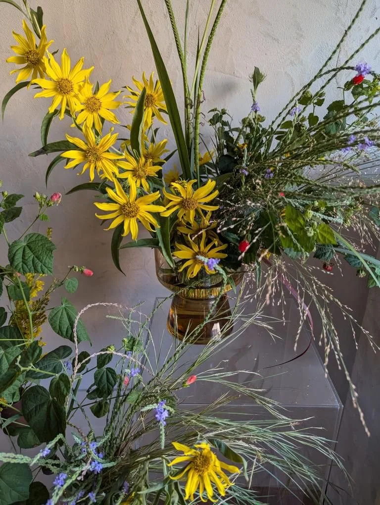 Edges Wild Collaboration