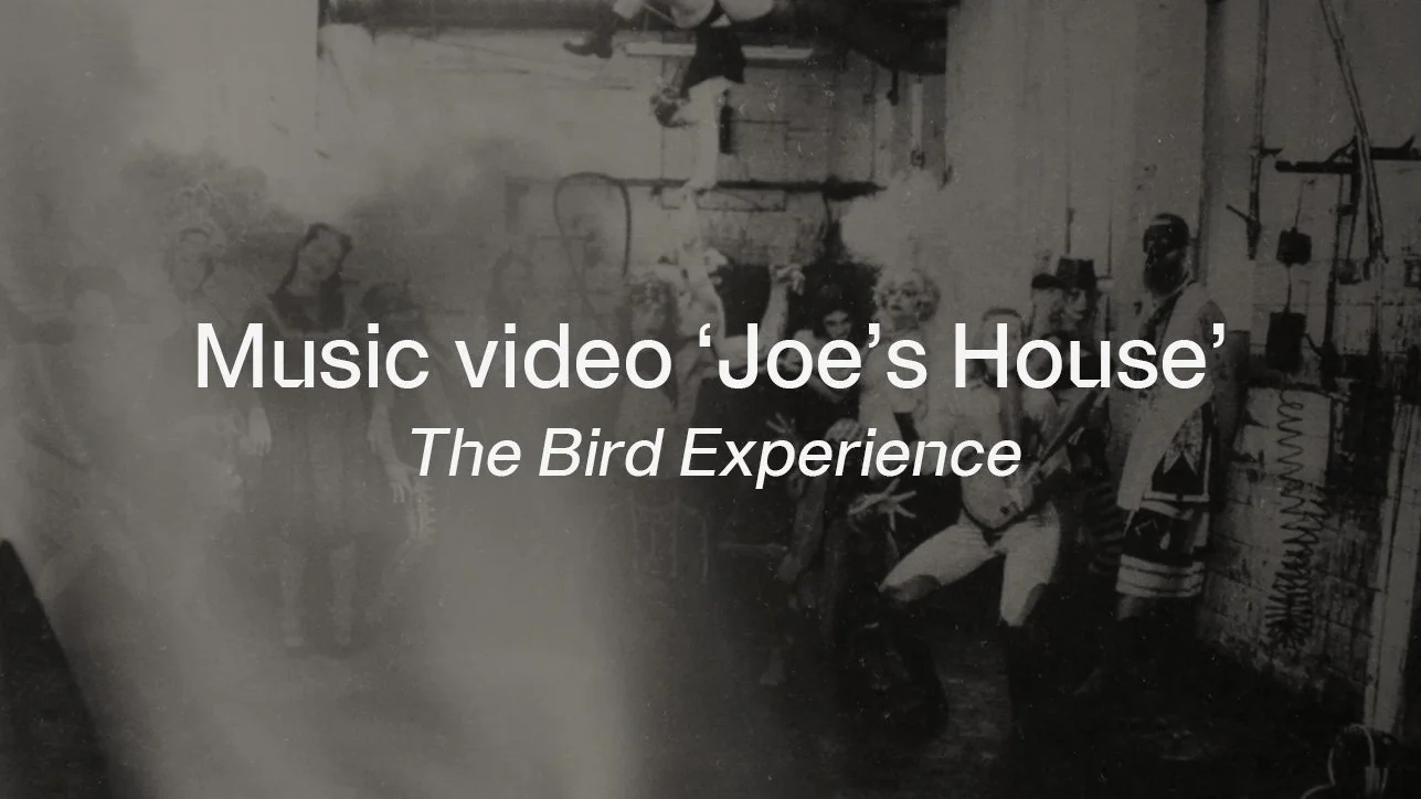 Music video The Bird Experience