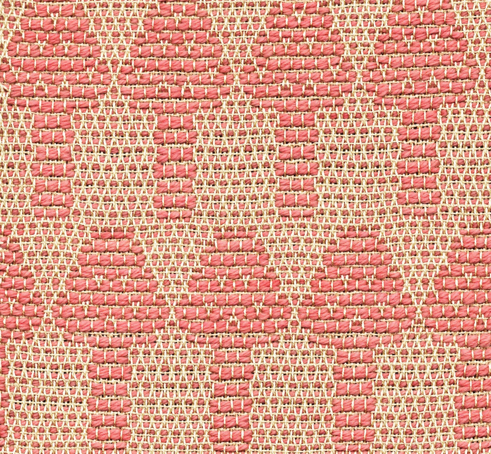 Renascent Collection