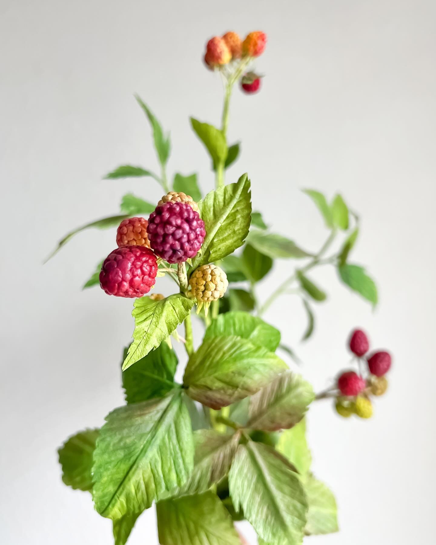 Handmade raspberry: leaves, fruit, and other interesting tips.

I love raspberries, especially with chocolate! I could have painted them redder, but I wanted to create a darker tone, leaving some lighter and greener ones, as if ripening. Every time I