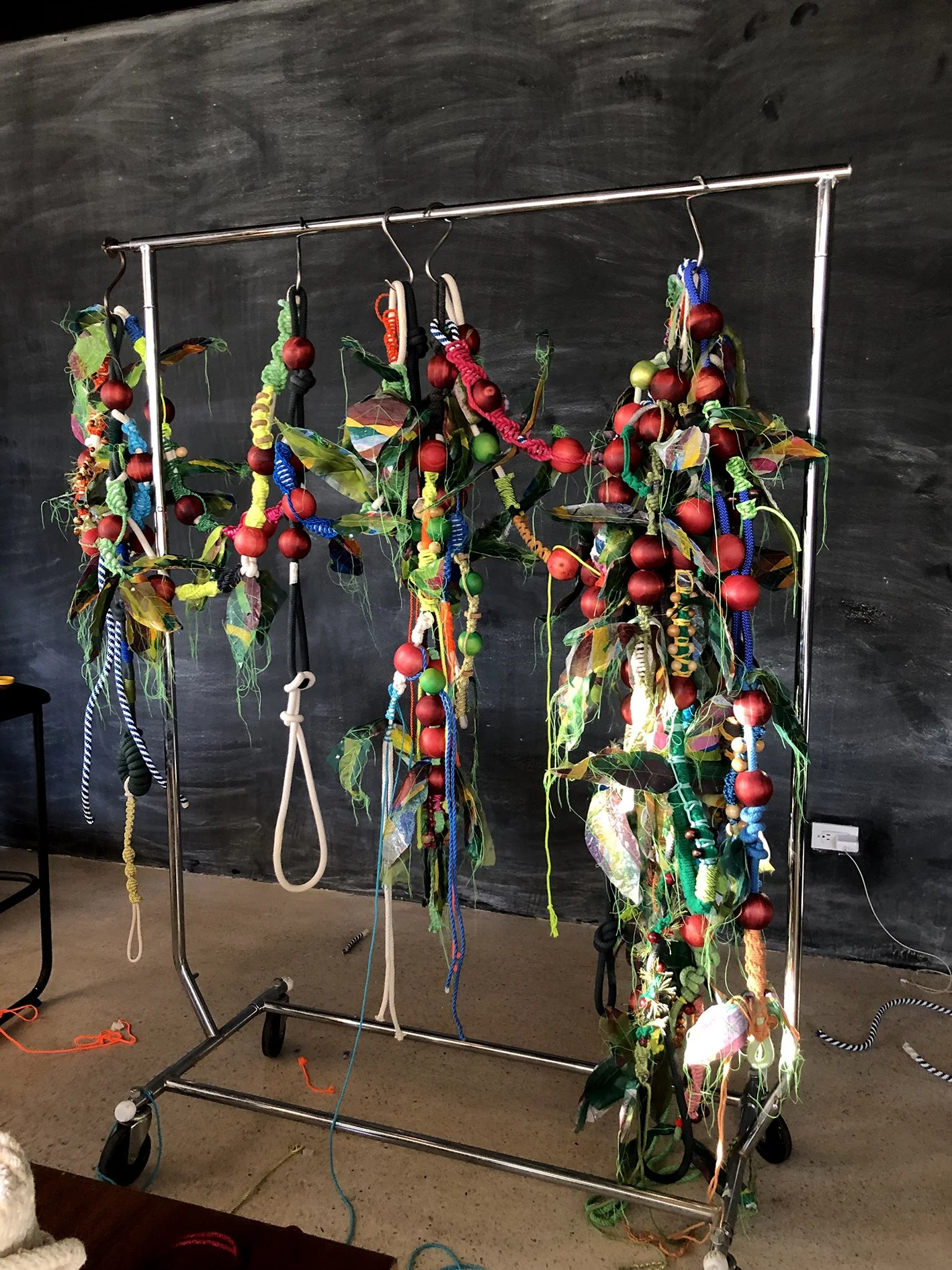 coffeeplants - Oscar Ruiz-Schmidt.jpeg