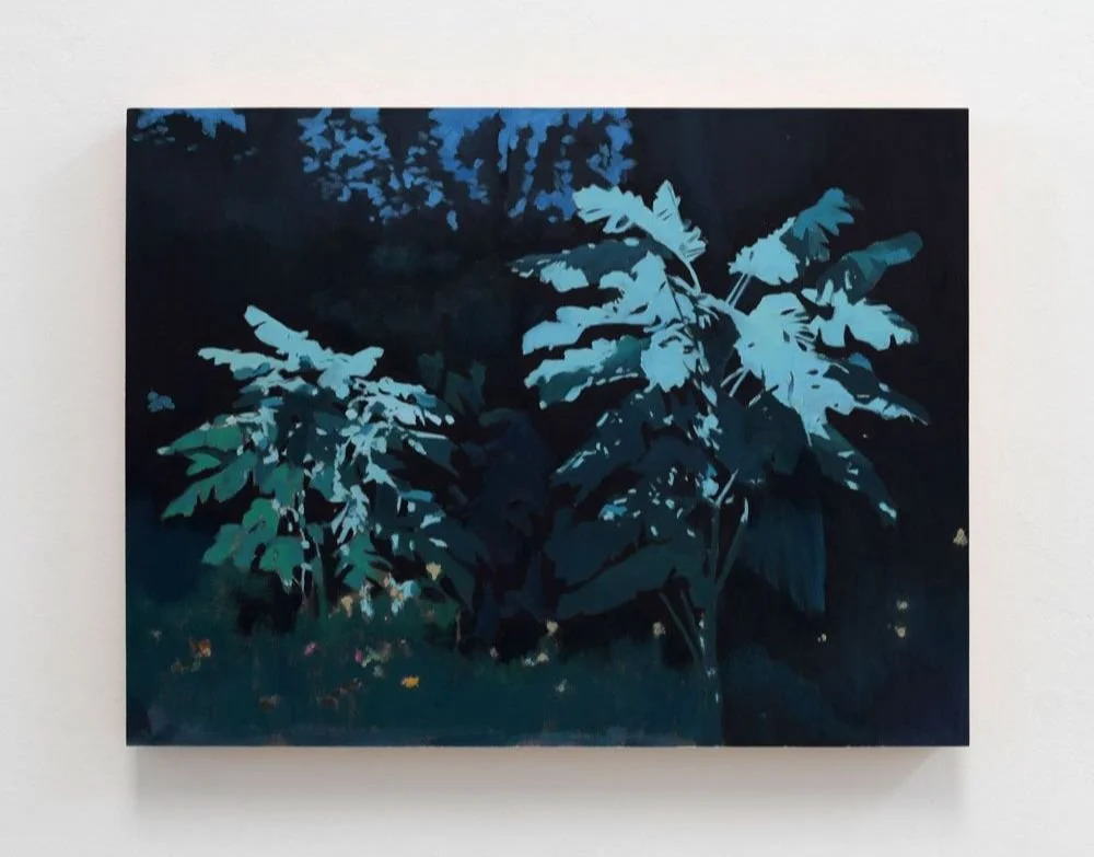 Exhibition Announcement / Erick Víquez: Nightglow