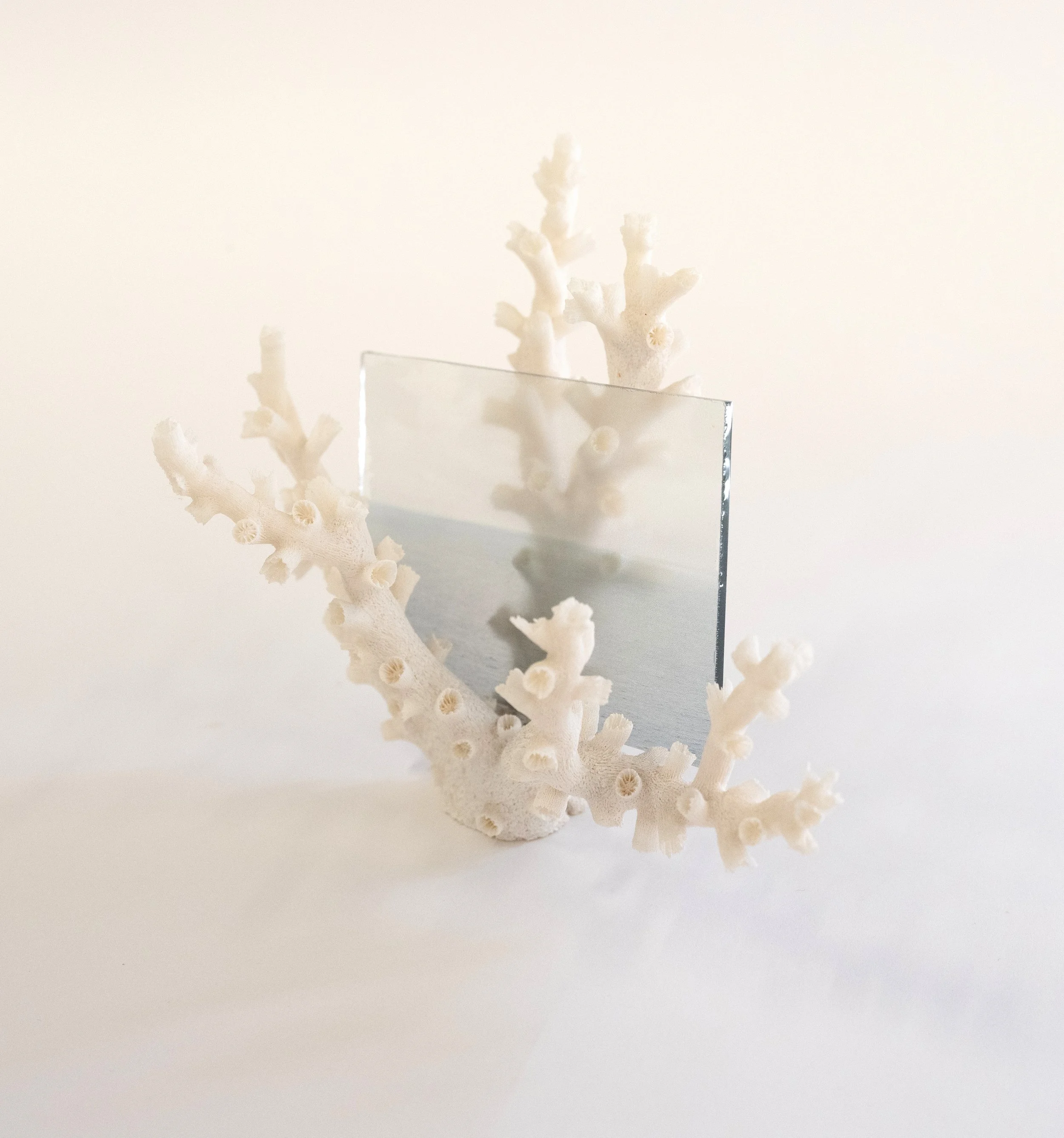 DSCF6763 - Katie Shapiro.jpeg