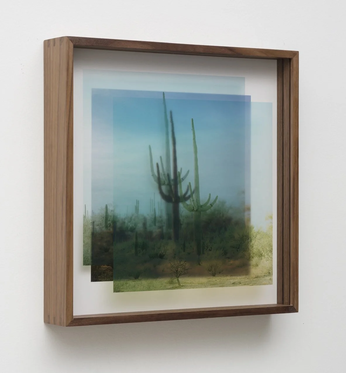 Shapiro-2022-07-19_008 - Katie Shapiro.jpg