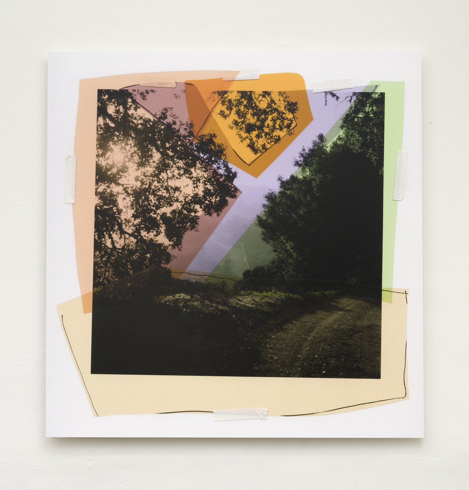 Shapiro-2022-09-30_005 - Katie Shapiro.jpg