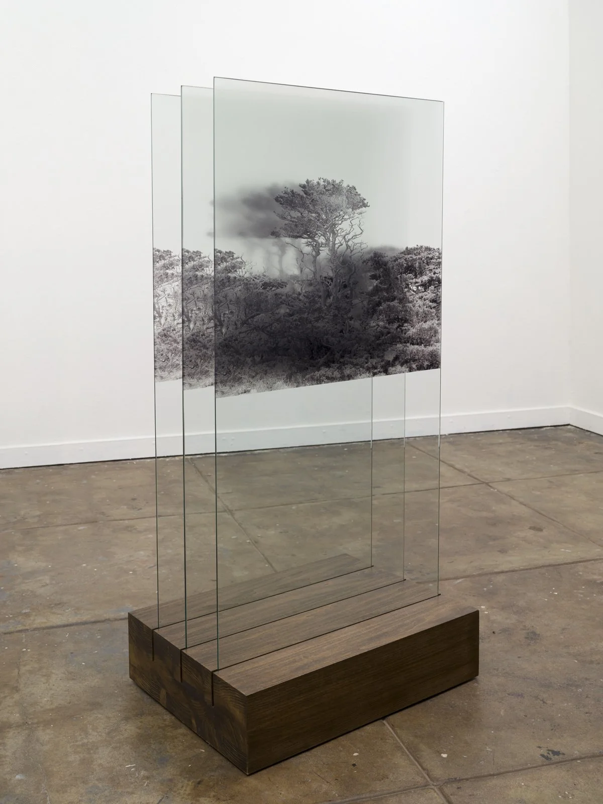 Shapiro-2022-09-30_013 - Katie Shapiro.jpg