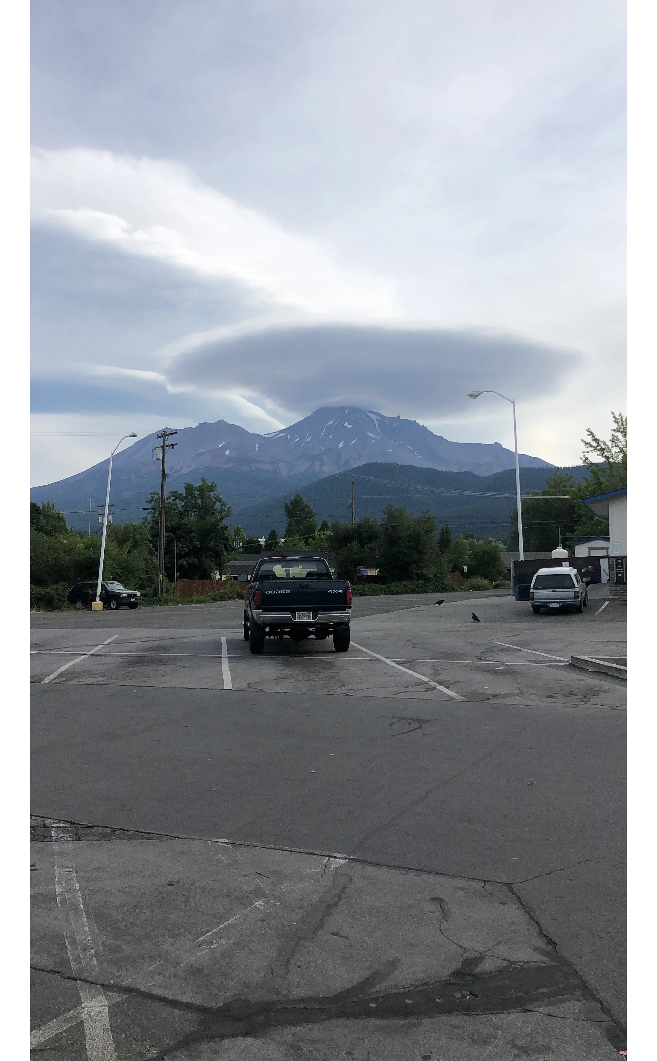 danasorman_mountshasta - Dana Sorman copy.jpg
