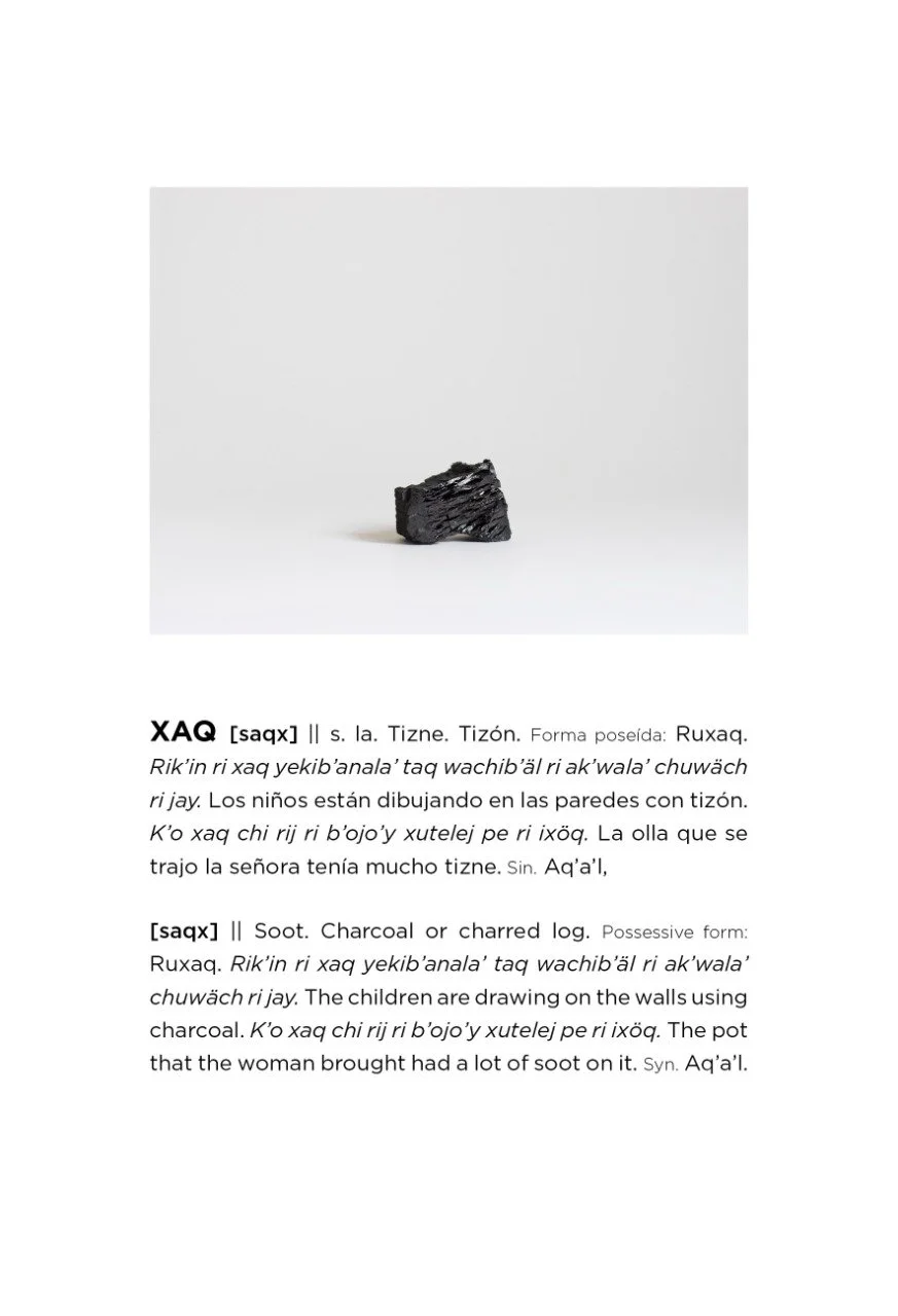 7-SampleDictionaryofForgottenObjects.JPG