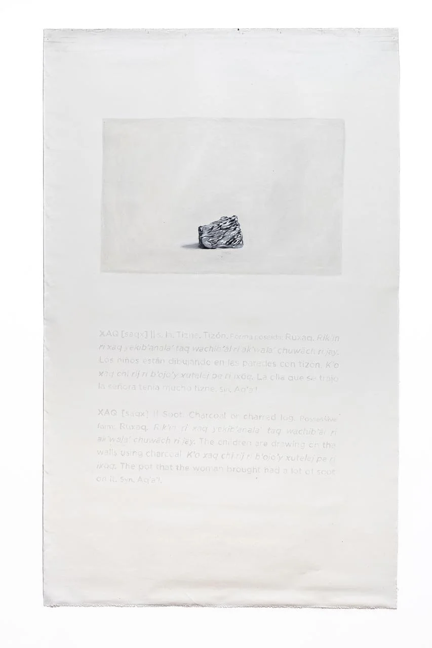   Score for Breathing Like an Insect II,&nbsp; 2025, cochineal, calcium, bone ash, ash, clay, 83.5 x 51 inches 