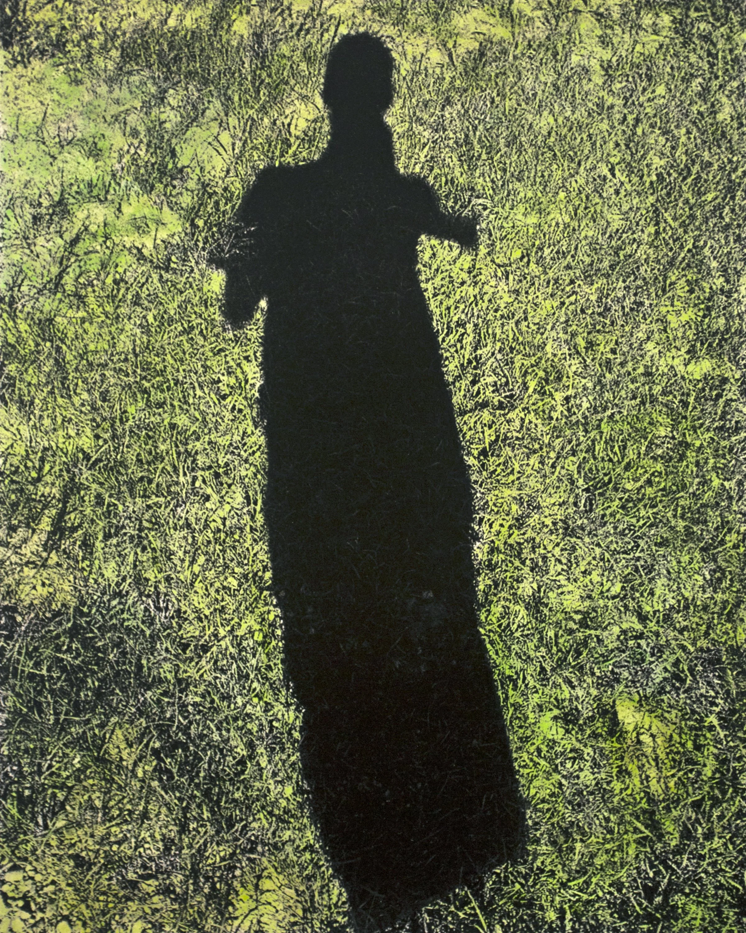 Vistas_11_2019.jpg