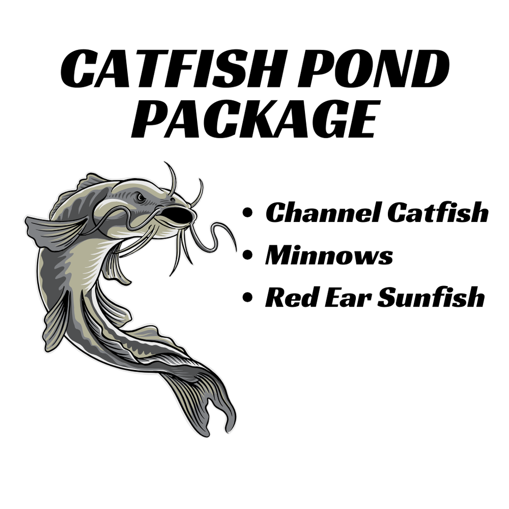 Stock Your Pond with a Bass Pond Package — Sport Fish Direct