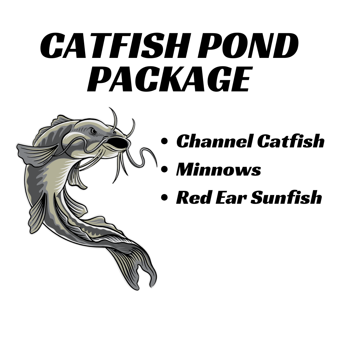 Order Live Sport Fish and Bait Fish Online — Sport Fish Direct