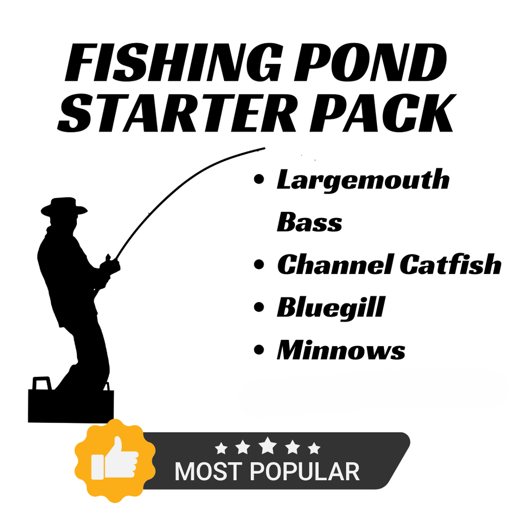fishing pond package summer.png