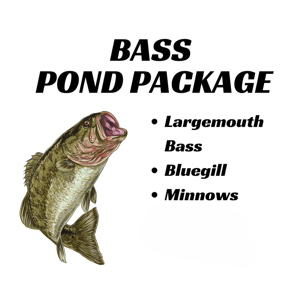bass pond package summer.png