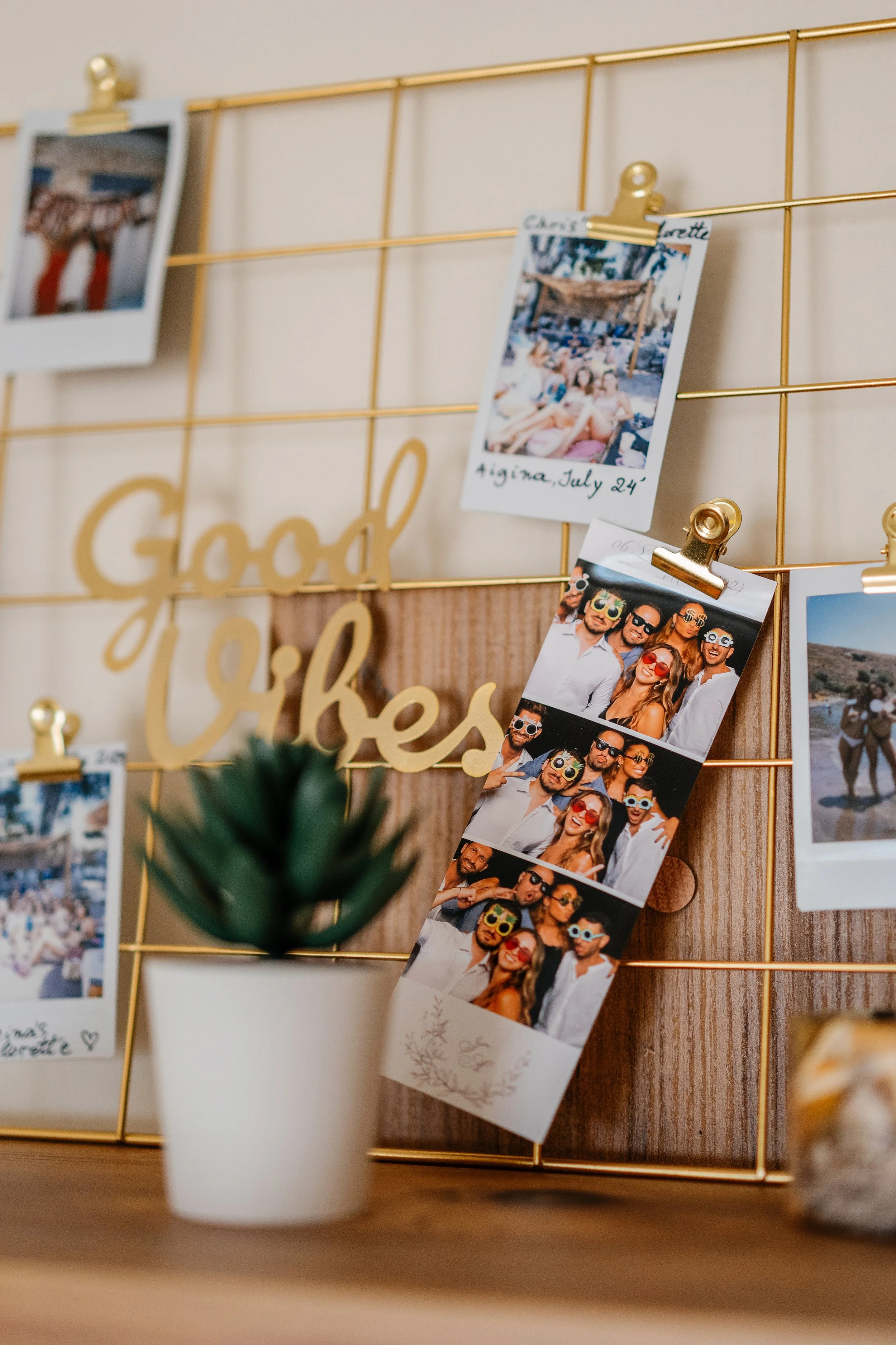 A gold wire photo display board with photos clipped on it, and a potted plant in front. The photos include group pictures and personal moments, with one showing a beach scene with people.