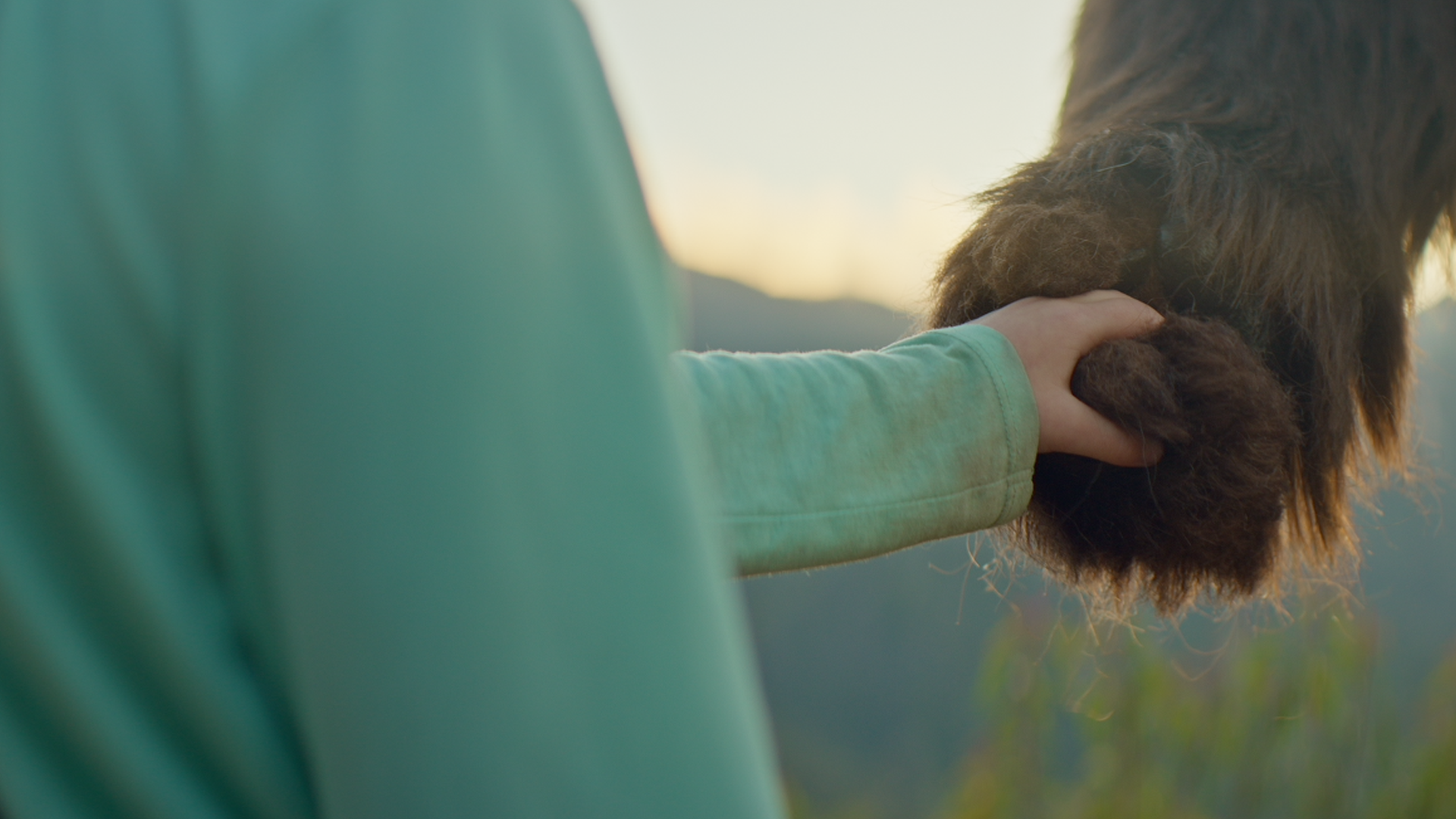 Smokey Bear: Pass It On