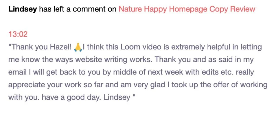 direct response copywriter client comment